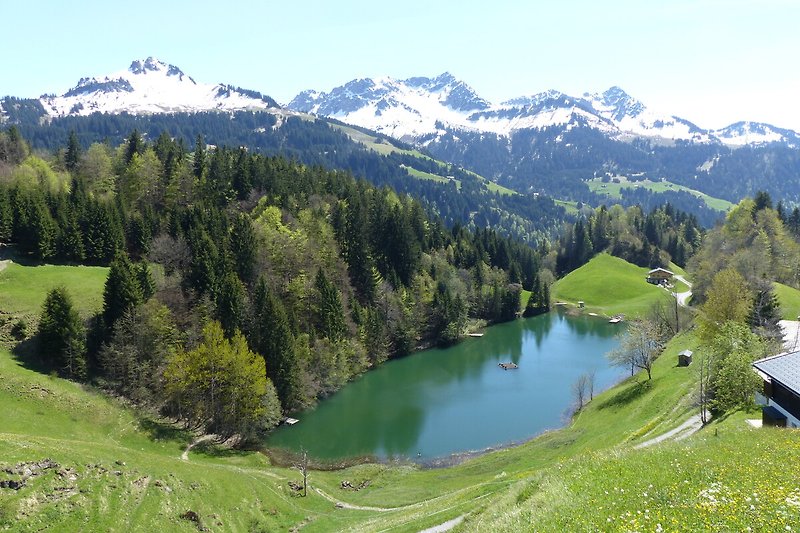Seewaldsee, ein malerischer Bergsee mit schneebedeckten Gipfeln und grünen Wiesen.