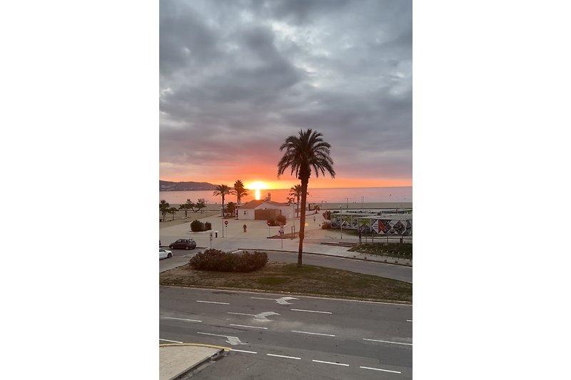 Schöner Sonnenuntergang am Strand mit Palmen und Meerblick.