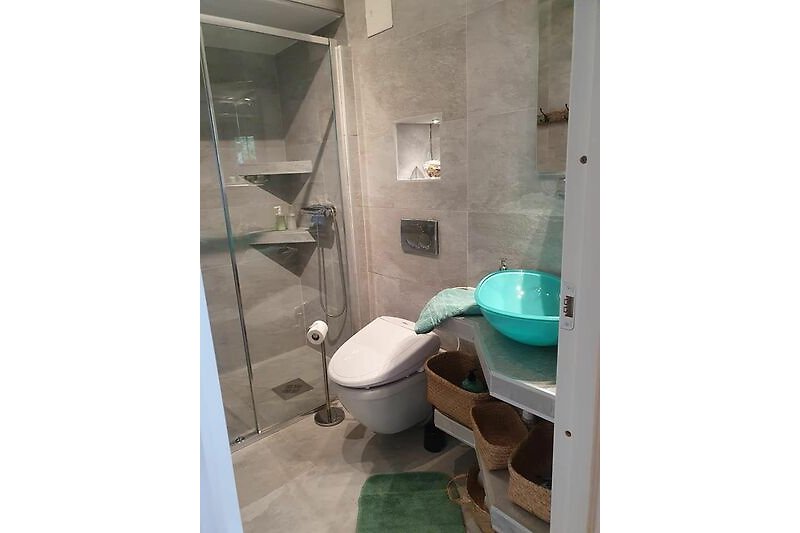 Bathroom with temperate toilet seat and more