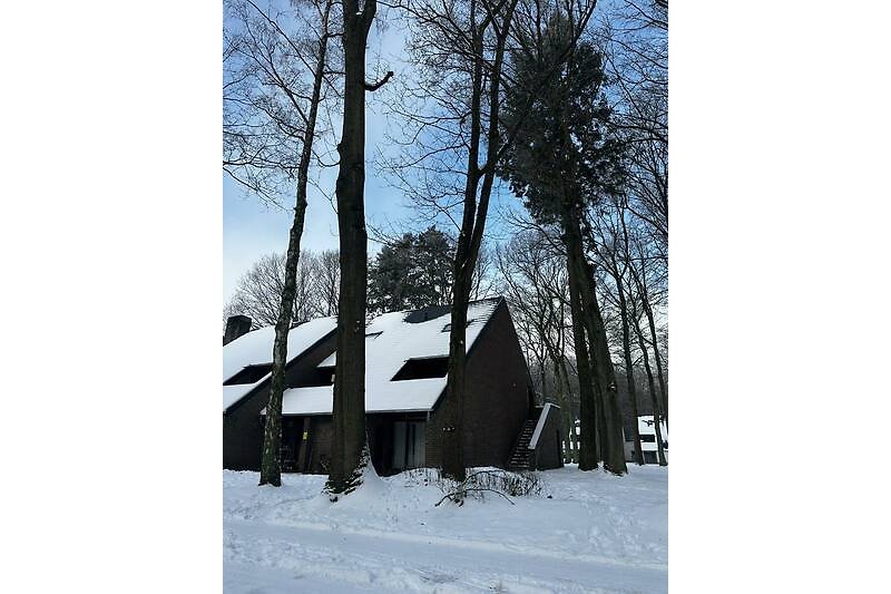Prachtig winterlandschap met besneeuwde bomen en een charmant houten huisje.