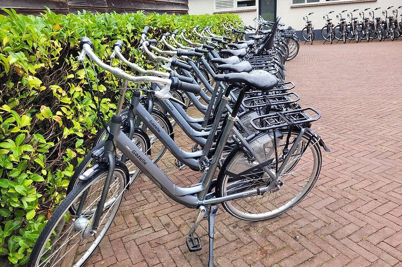 Mogelijkheid tot het huren van e-bikes en gewone fieten