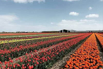 Hygge House am IJselmeer Holland