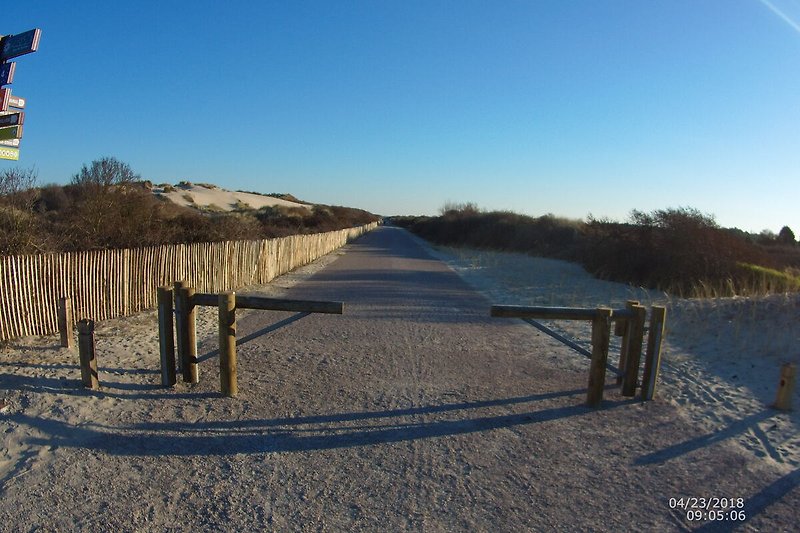 Une vue hivernale avec une route asphaltée entourée de paysages naturels.