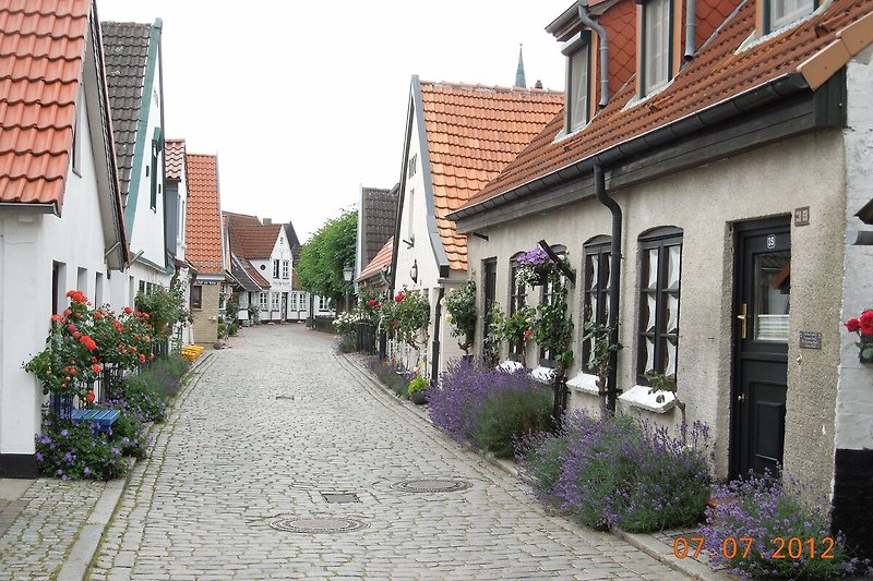 Auf dem Holm in Schleswig.