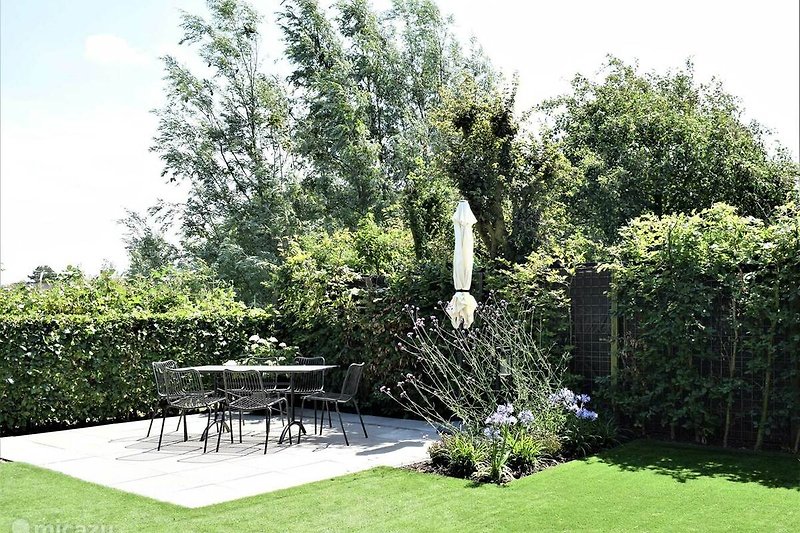 Schöner Garten mit Pflanzen, Tisch und Stühlen unter blauem Himmel.
