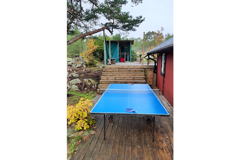 Ping-pong table and weightlifting gym