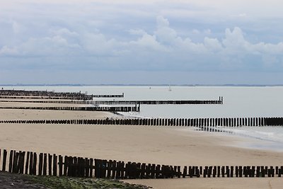 Luxe vakantiehuis op 200 meter van het strand