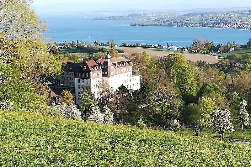 35 Gehminuten: Blick von Spetzgarter Höhe auf Schloss Spetzgart, See, Bodanrück und Mainau im Hintergrund
