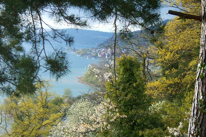 30 Gehminuten Blick von Hödinger Höhe auf Sipplingen