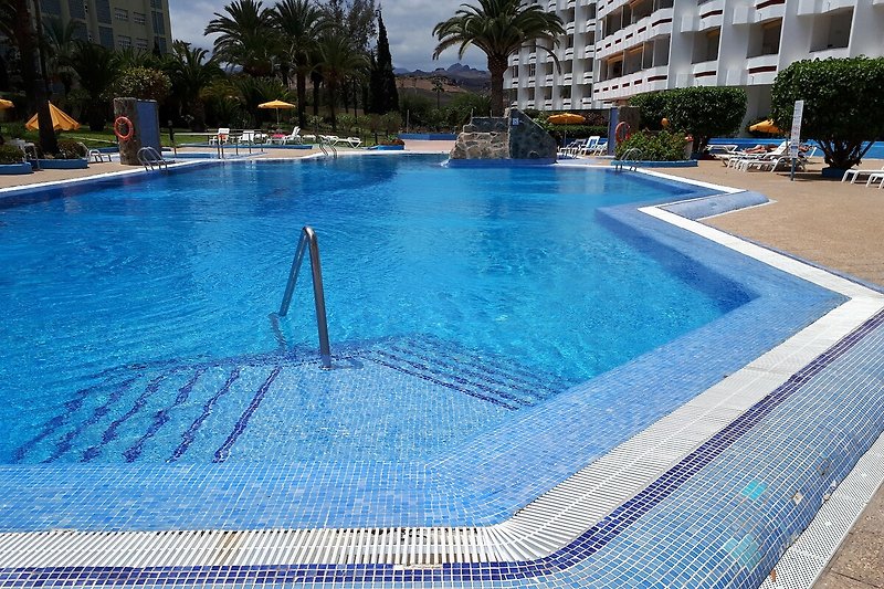 Schwimmbad mit blauem Wasser, Palmen und Außenmöbeln.