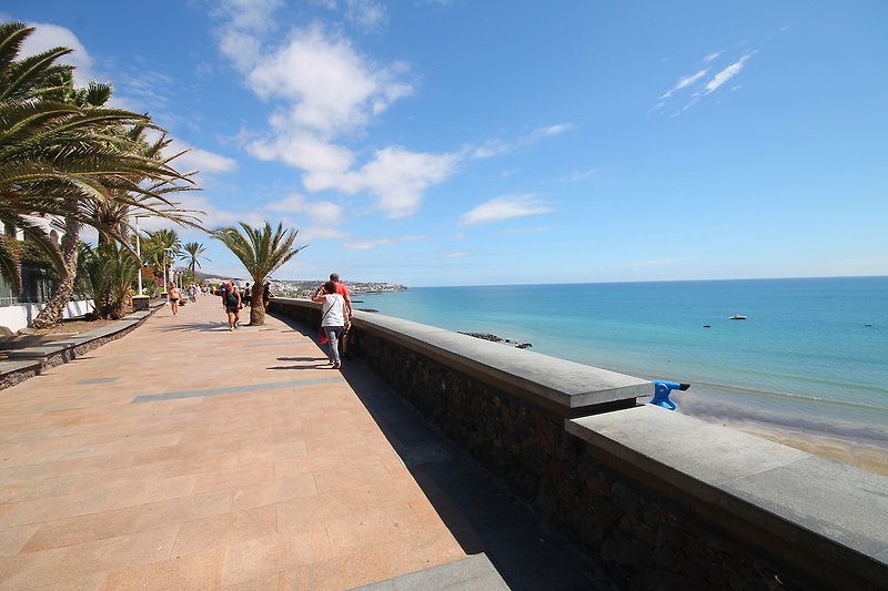 Nahe liegende obere Strandpromenade mit Palmen.