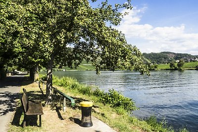 Ap. Moselsteig im Ferienhaus Weitblick