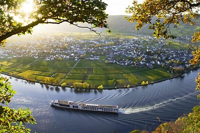 Hochgewächs im Ferienhaus Weitblick