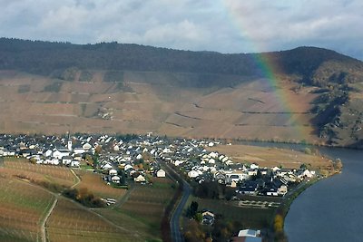 Loreleyblick im Ferienhaus Weitblick