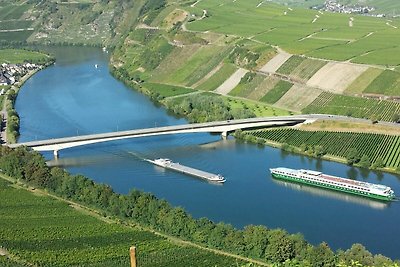 Ap. Moselsteig im Ferienhaus Weitblick