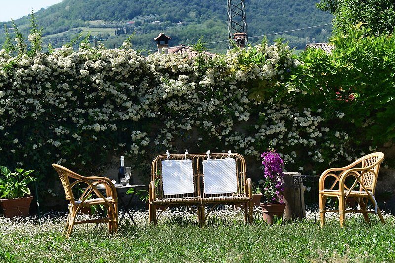 Una foto del giardino con mobili da esterno e piante in fiore