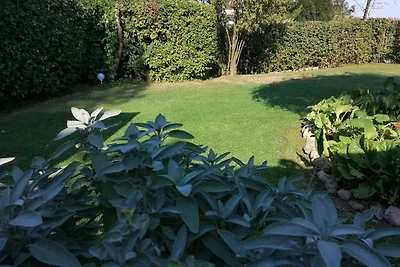 Holgers Lütten Hütt