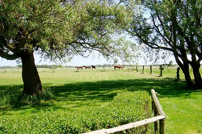 Tholenhof