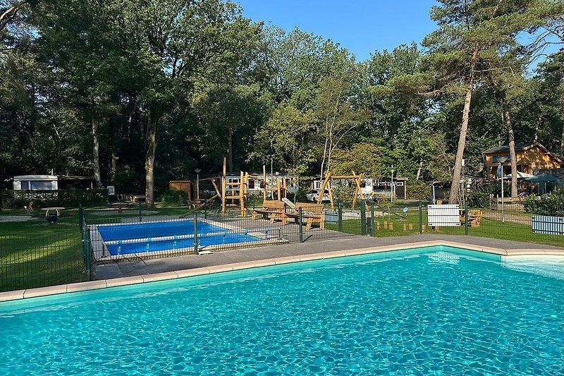 Een ontspannend zwembad omringd door groen en een blauwe lucht.