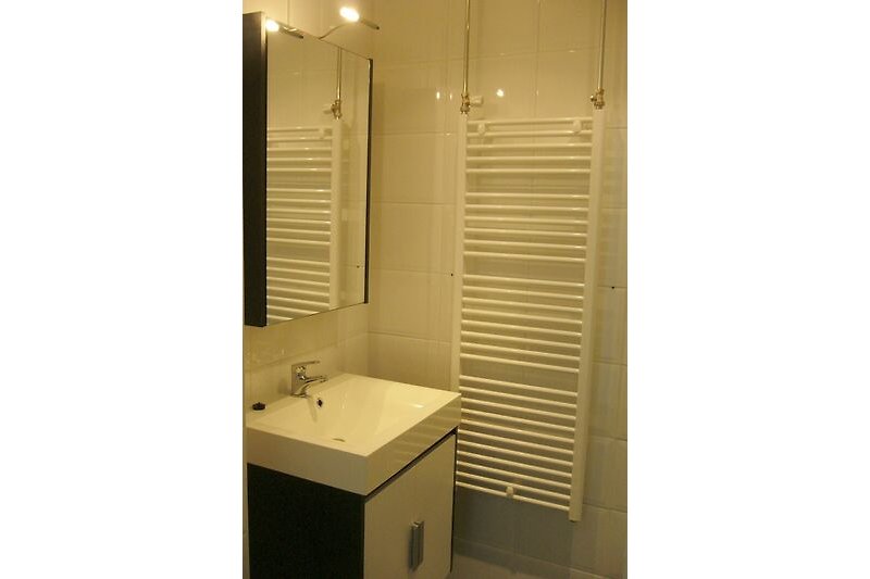 Stilvolles Badezimmer mit Holzboden, modernem Waschbecken und Glasdusche.
