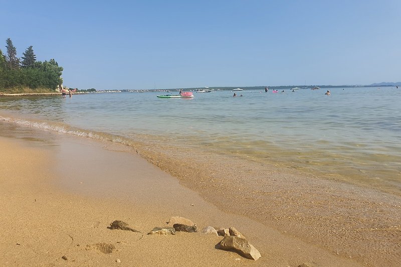 Karibisches Paradies: Strand, Palmen, azurblaues Meer - perfekte Erholung!