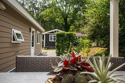 Heuvelrug Cottage Komfort | 4 Personen