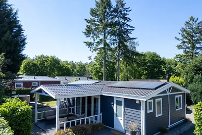 Heuvelrug Cottage mit Whirlpool | 6 Personen