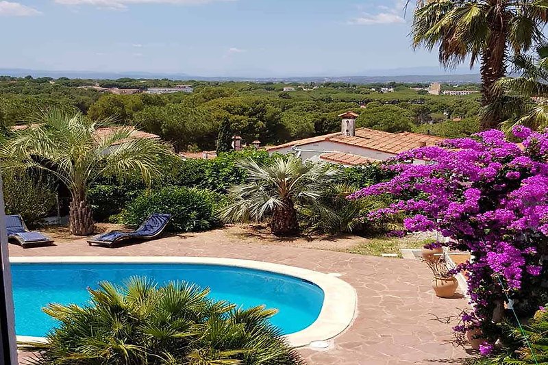 Magnifique jardin tropical avec piscine et végétation luxuriante. Paradis naturel pour des vacances relaxantes.