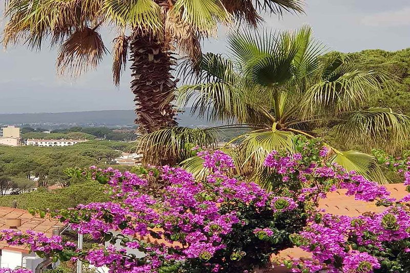 Somptueuse vue dominante,  jardin tropical avec palmiers, fleurs colorées. Paradis naturel pour des vacances relaxantes.