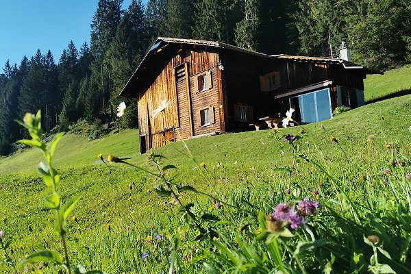 Hütte Bartholomäberg