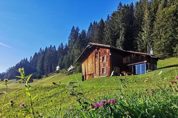 Hütte Bartholomäberg