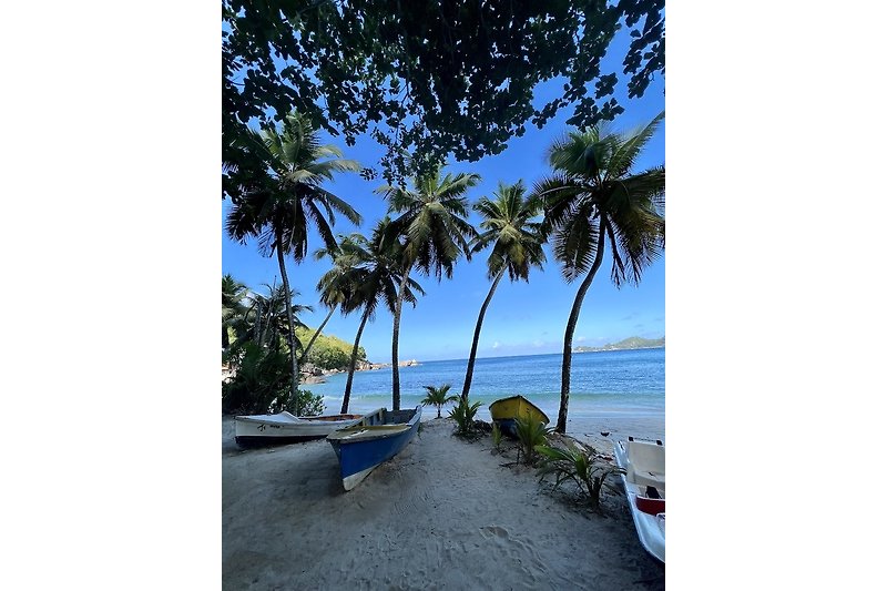 Una vista mozzafiato sulla spiaggia tropicale con palme, mare azzurro e una barca.
