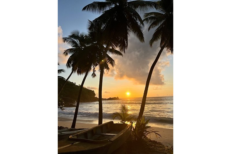 Una spiaggia tropicale al tramonto con palme, onde e un cielo colorato.