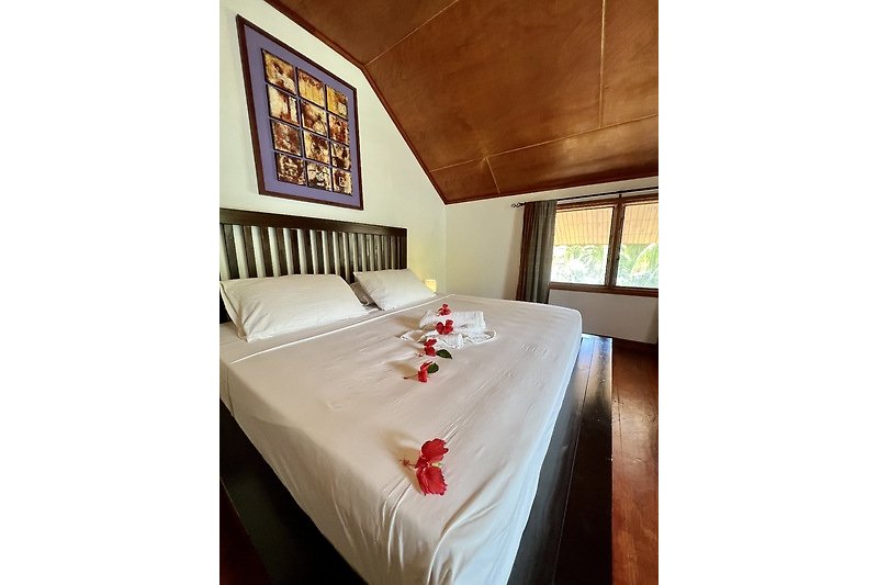Rooms for rent near the beach in the Seychelles