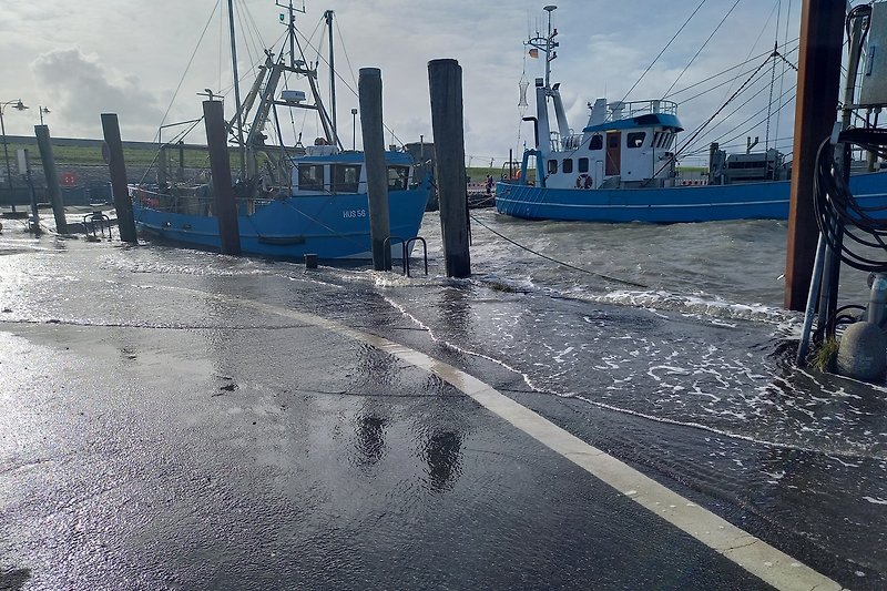 Hochwasser im Hafen Nordstrand