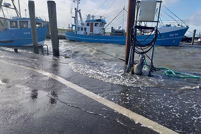 Fewo Föhr auf Nordstrand