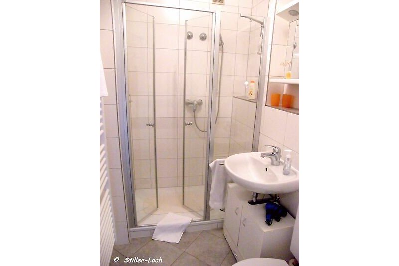 Modernes Badezimmer bietet große Dusche und gute Ausstattung