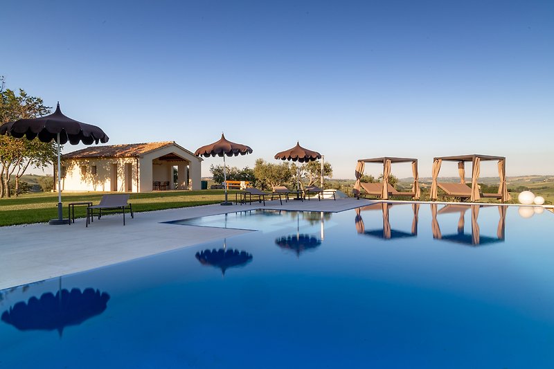 A beautiful villa with a infinity swimming pool and olive trees.