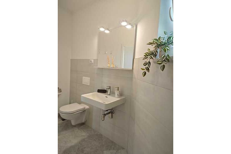 Schöne Badezimmerausstattung mit WC, Waschbekcen und Spiegel.