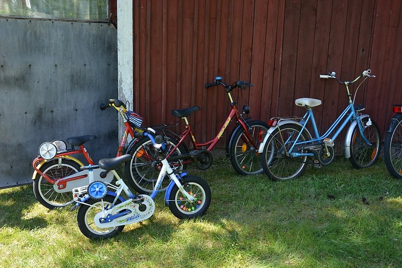Kinder Fahrräder
