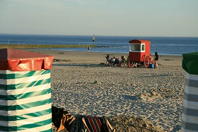 Südstrandnest-Borkum