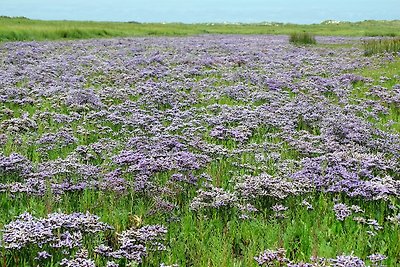 Südstrandnest-Borkum