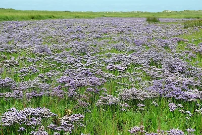 Südstrandnest-Borkum