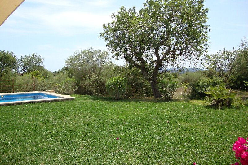 Garten mit Pool und grüner Landschaft.