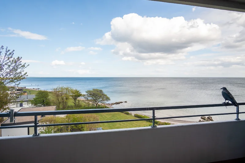 Blick auf die Ostsee