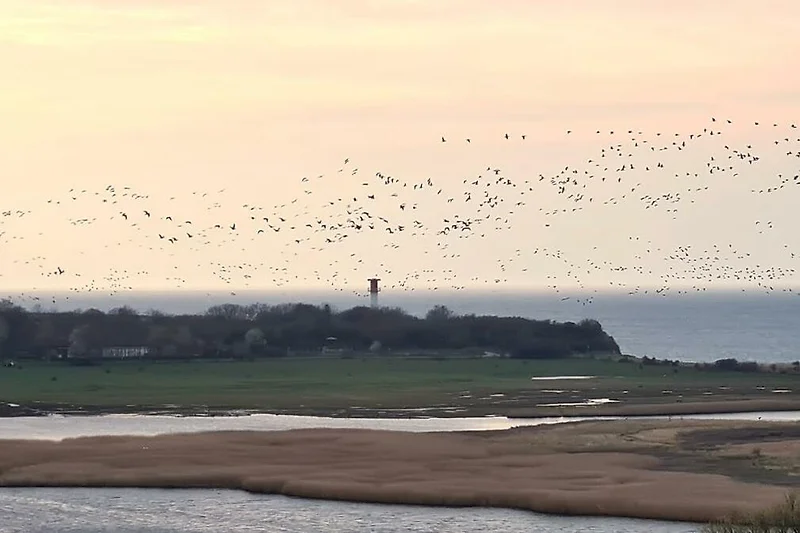 Blick zur Steilküste