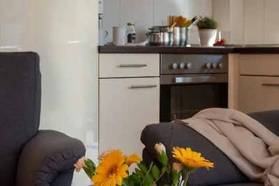 "Strandpark Grossenbrode", Haus "Möwennest", ...