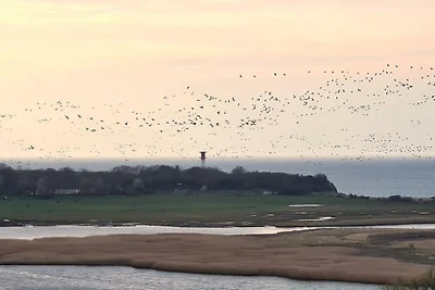 "Ferienpark Heiligenhafen", Haus G, Wohnung 0...