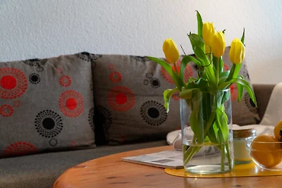 Haus "Windjammer", Wohnung "Warderperle 22"