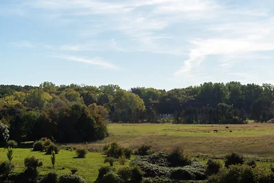 "Ferienpark Heiligenhafen", Haus N, Wohnung...